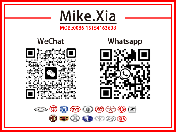 Shandong Victory Auto-onderdelen Technologie Co., Ltd