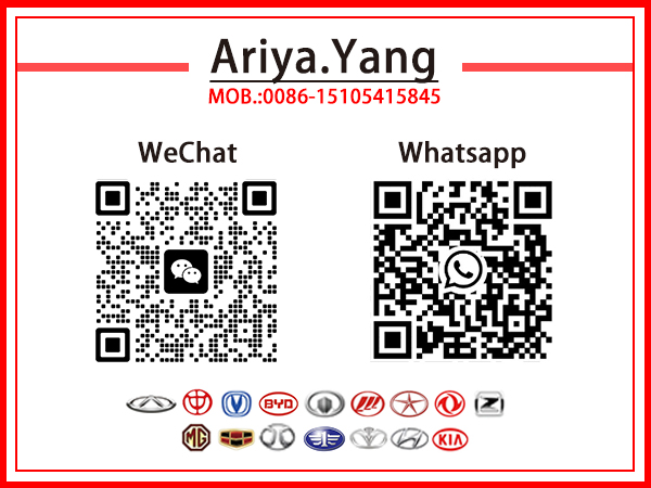 Shandong Victory Auto-onderdelen Technologie Co., Ltd